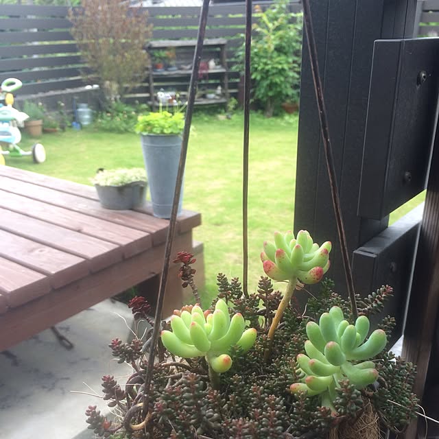 hachi-mi-.さんの実例写真