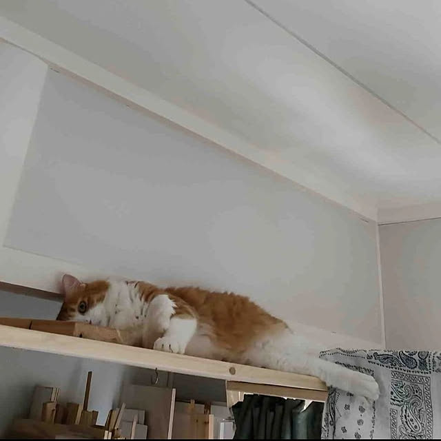 mori_6_12さんの実例写真
