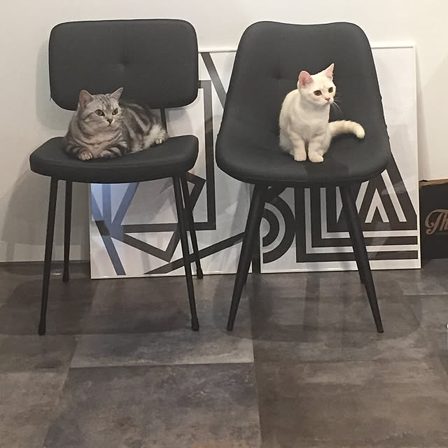 komumaさんの実例写真