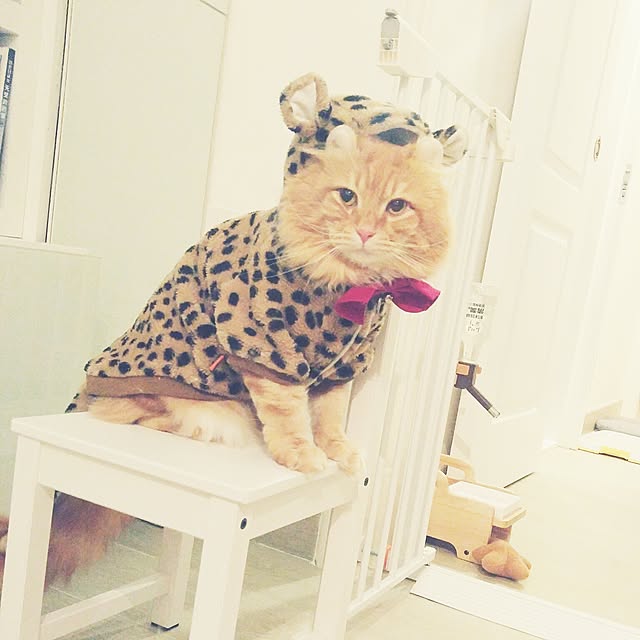 Belleさんの実例写真