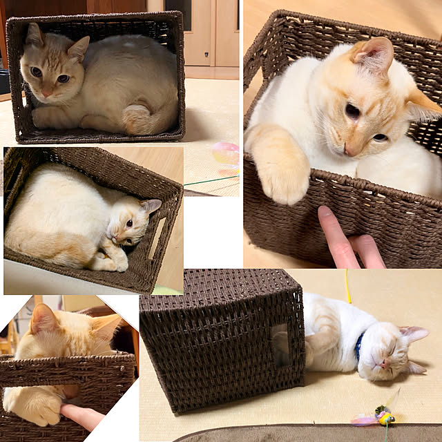 milkさんの実例写真