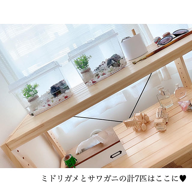 chaluさんの実例写真