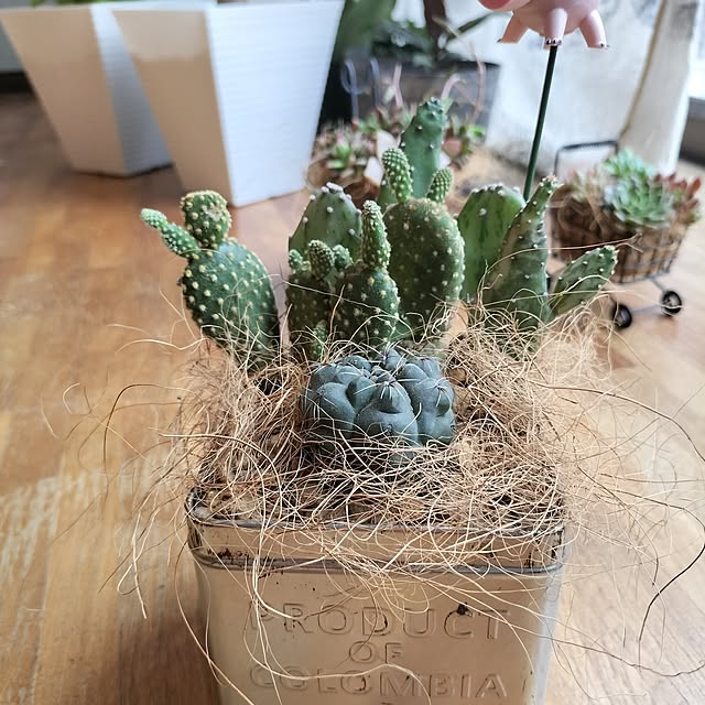 aoiroさんの部屋