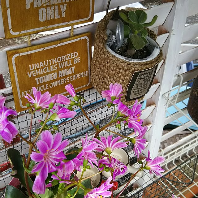 bousuke.215112さんの実例写真