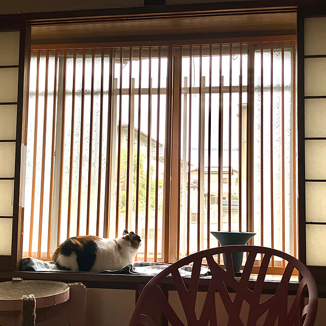 kibidangotabetaiさんの実例写真