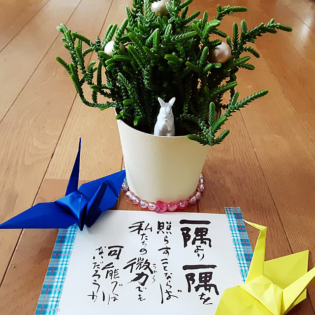 katさんの実例写真