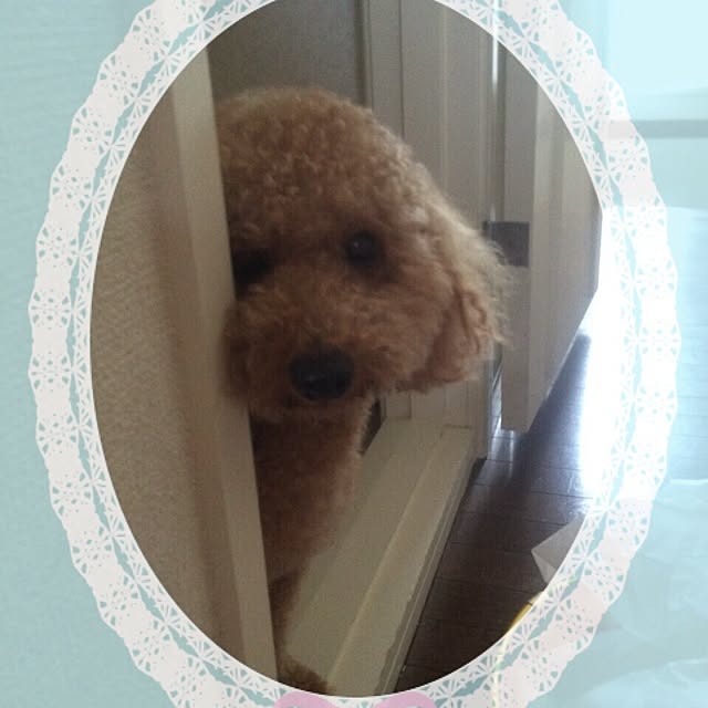 ochokoさんの実例写真
