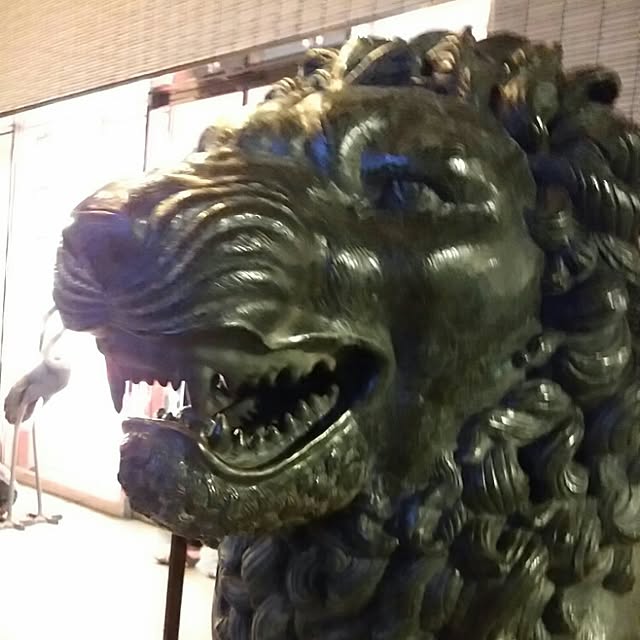 kuruさんの実例写真