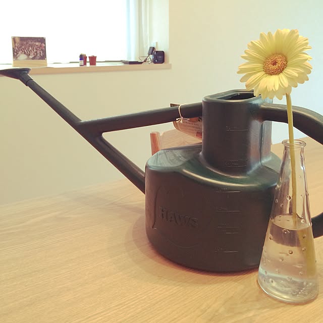 misomisoさんの実例写真