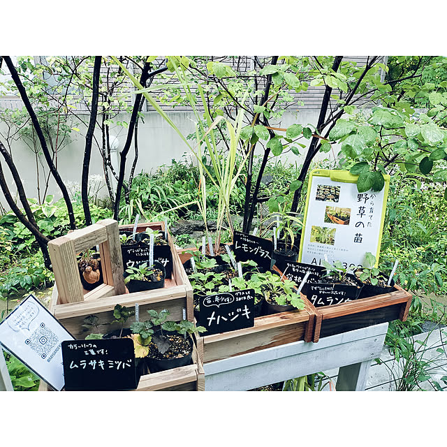 WOODPROさんの実例写真