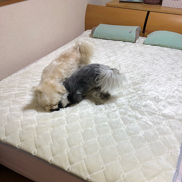 tenmaruさんの実例写真