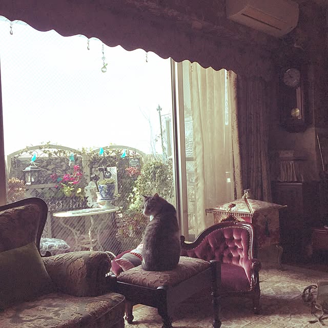 emmyyさんの実例写真
