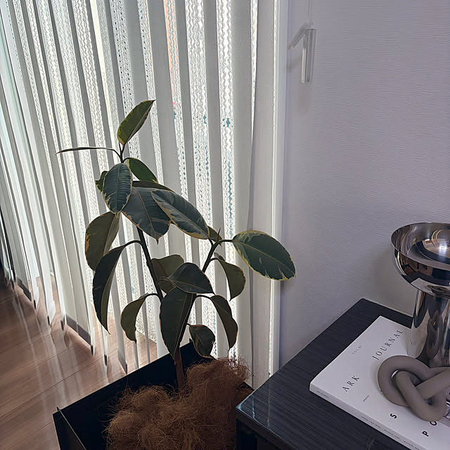 m.Reikoさんの部屋