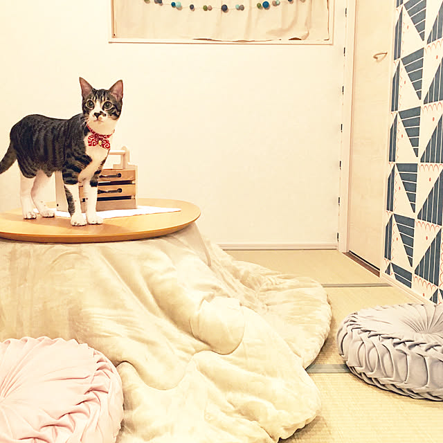 ippu0303Karinさんの実例写真
