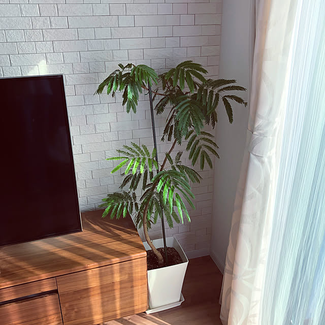 omoさんの実例写真