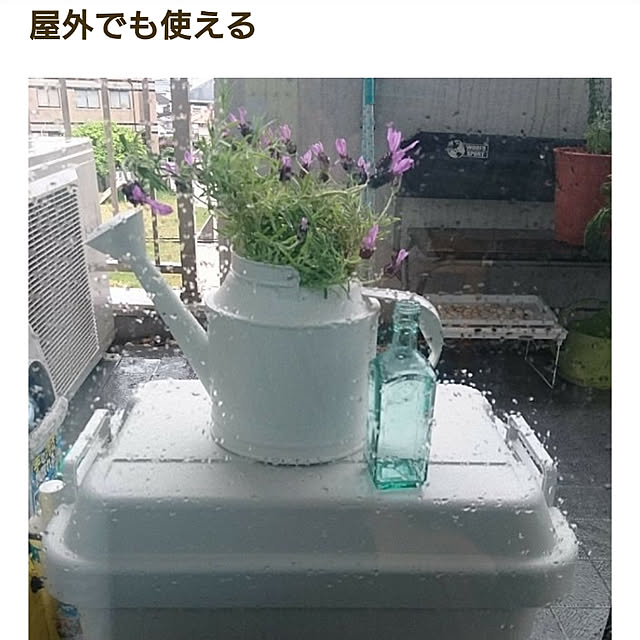 porinさんの実例写真