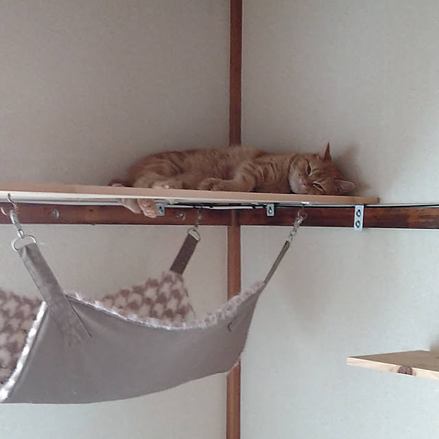 fruityanさんの実例写真