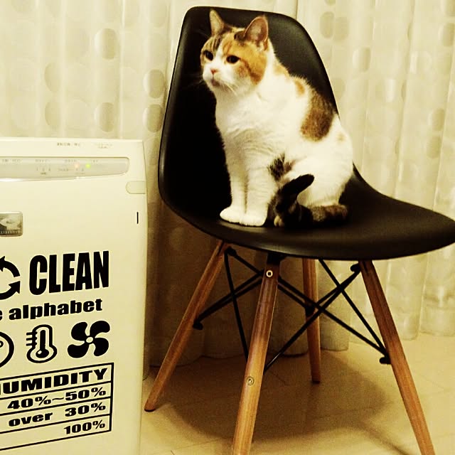 yukiさんの実例写真