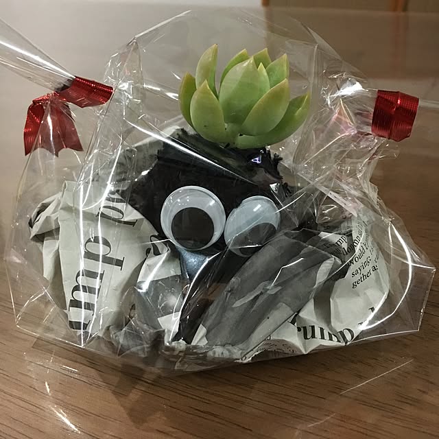 実例写真