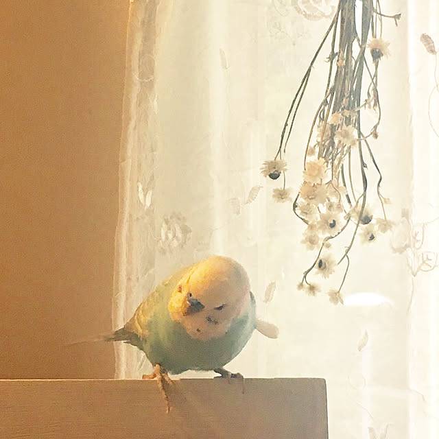 ponponHOUSEさんの実例写真