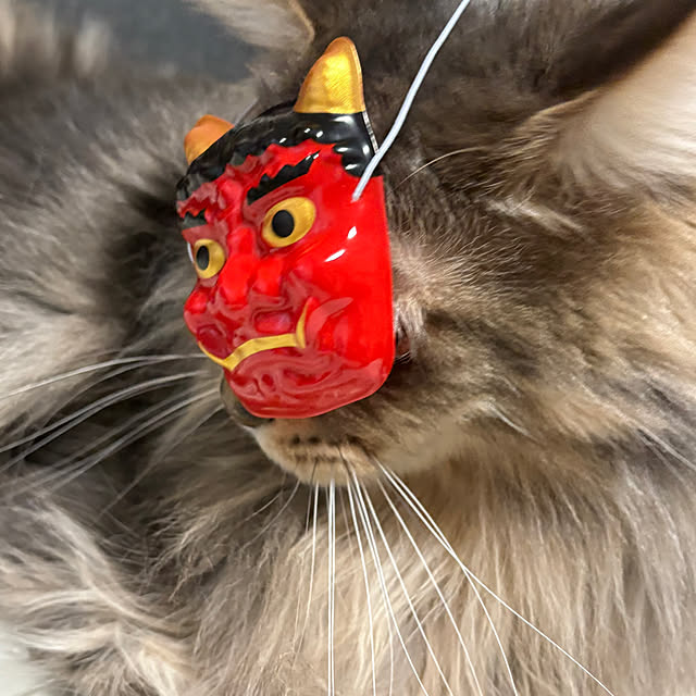 mayumiさんの部屋