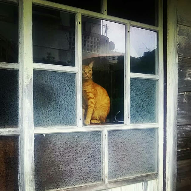 kayomiさんの実例写真