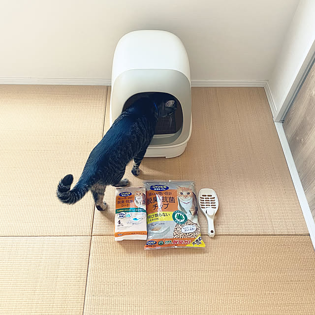 mmeeronさんの部屋