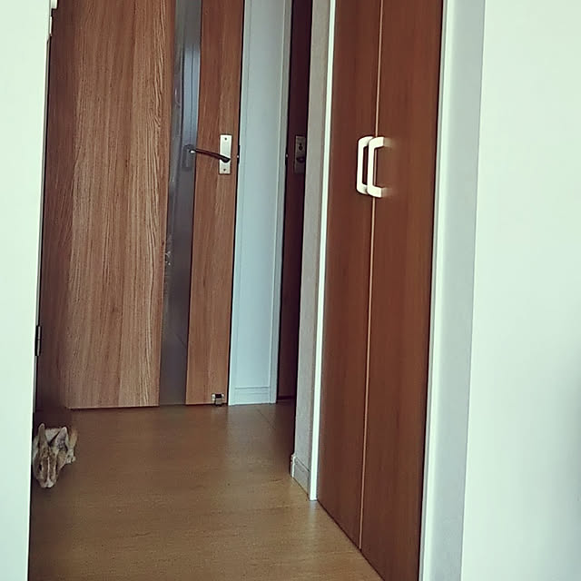 Sauriさんの実例写真