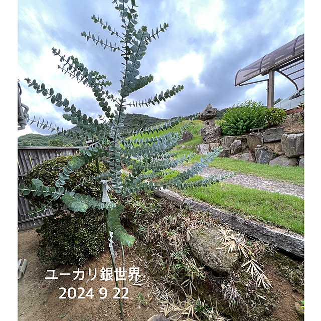buchiさんの部屋