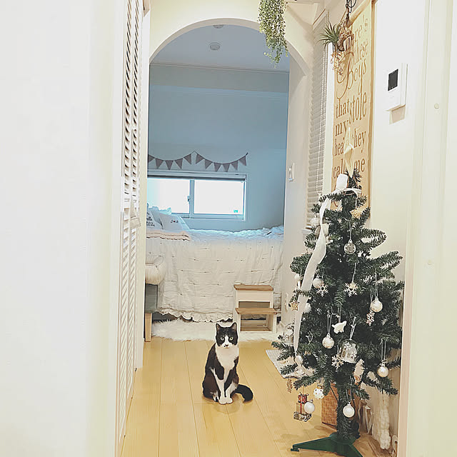 lovecatさんの実例写真