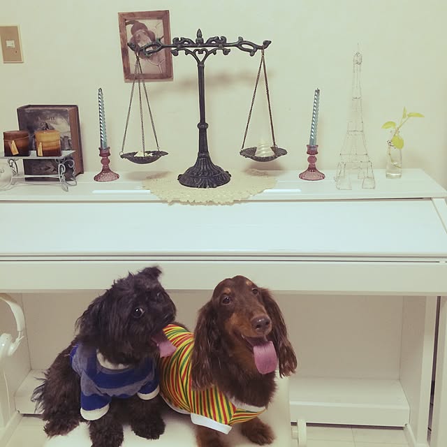 lala0125さんの実例写真