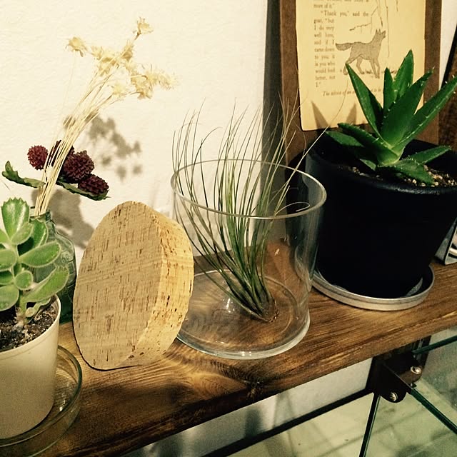 interior_yuさんの実例写真