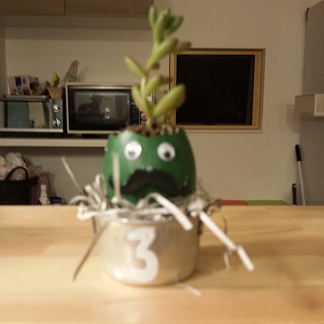 seiさんの実例写真