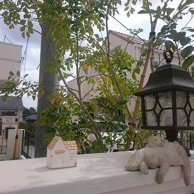 whitebirdさんの実例写真
