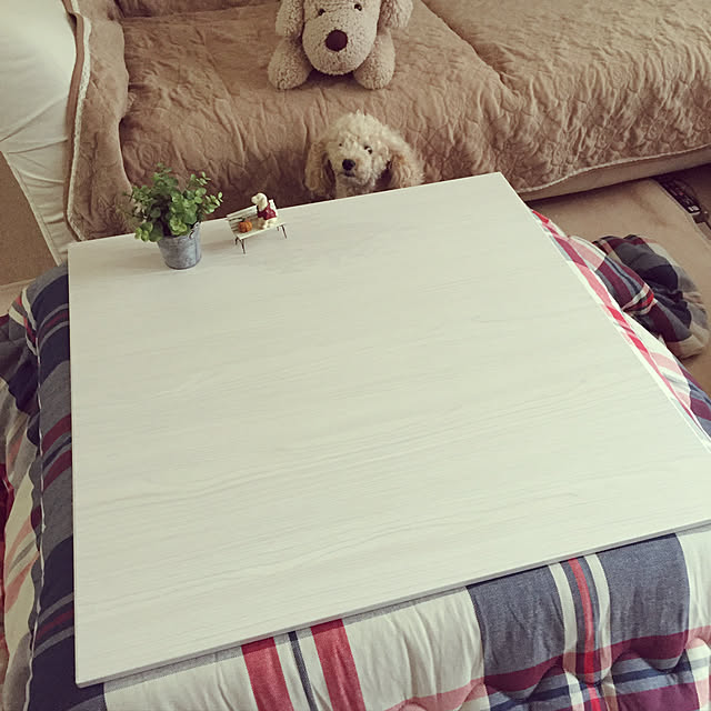 mocomocoyuuさんの実例写真