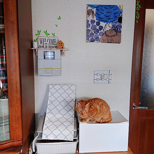 kikiさんの実例写真