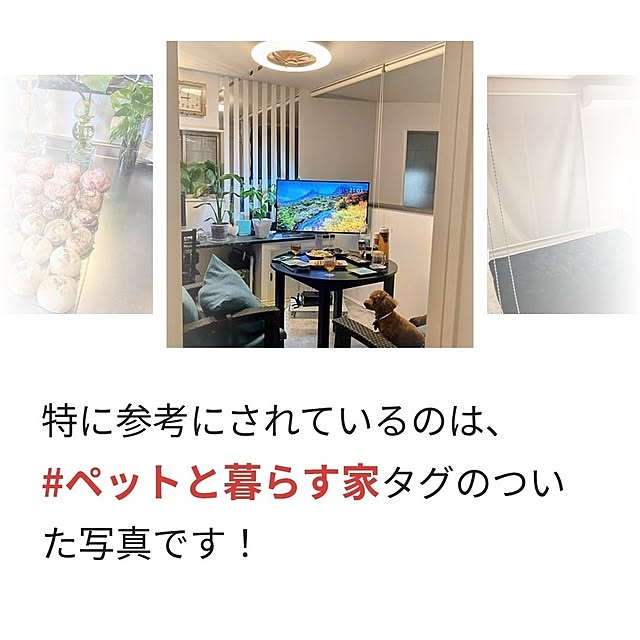 MOMOMAMAさんの部屋