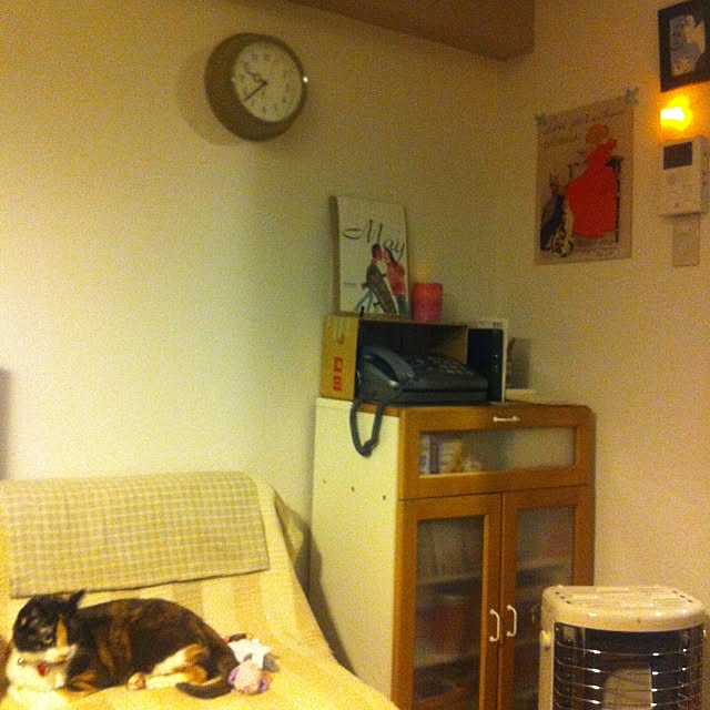 Rieさんの実例写真