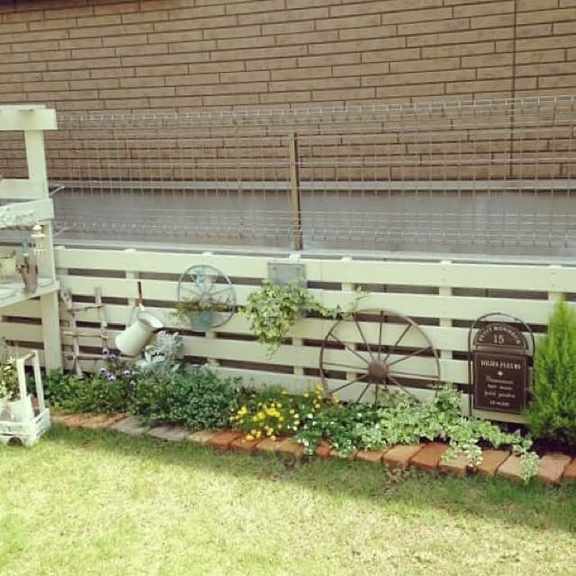 koiseさんの実例写真