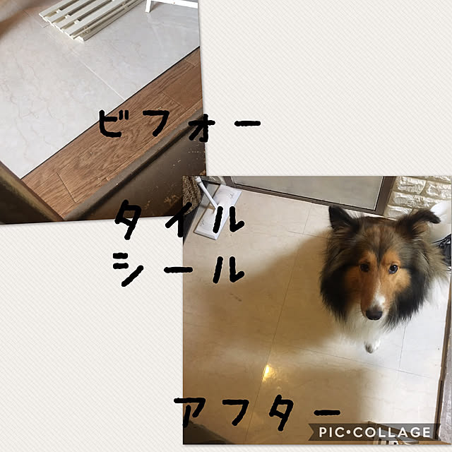 miiさんの実例写真