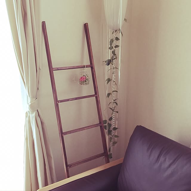 matoraさんの実例写真