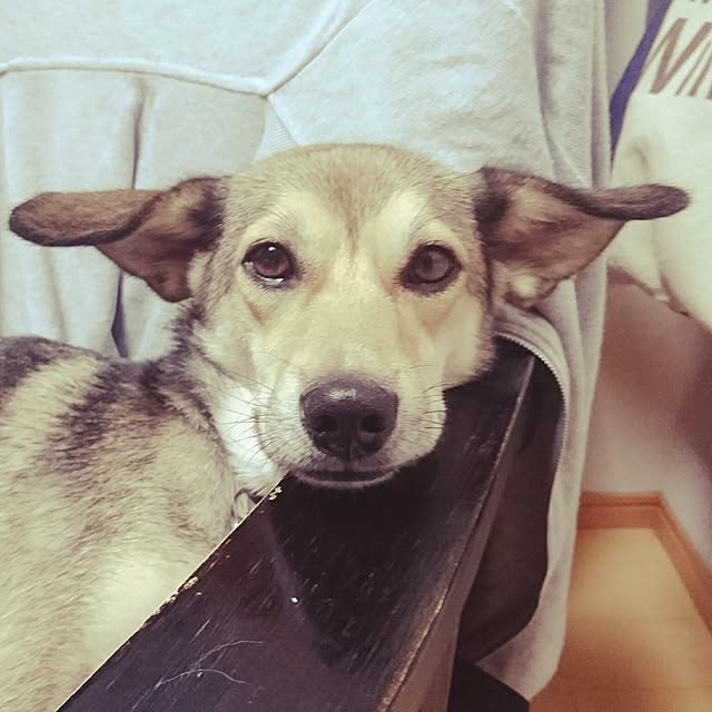 andさんの実例写真