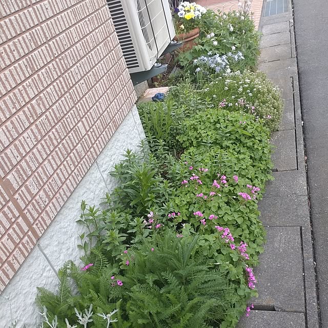 Hujikoさんの部屋