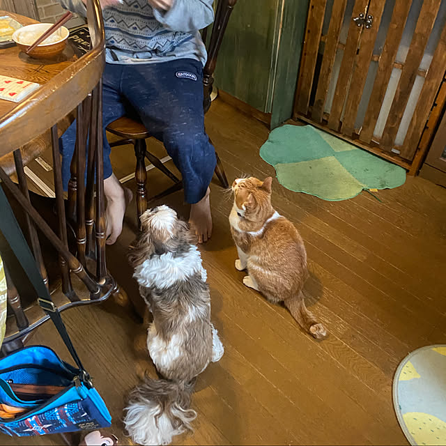 SHIHOさんの実例写真