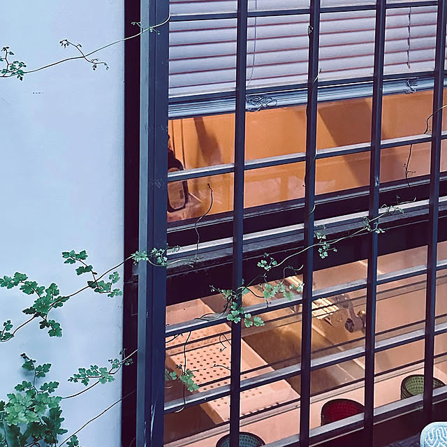 chacoさんの部屋