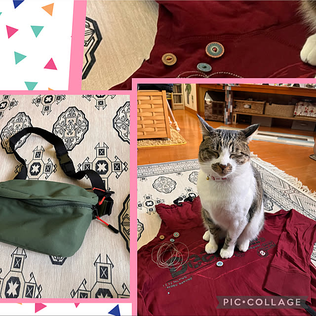 jijiさんの実例写真