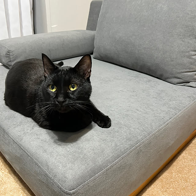 mimiさんの部屋