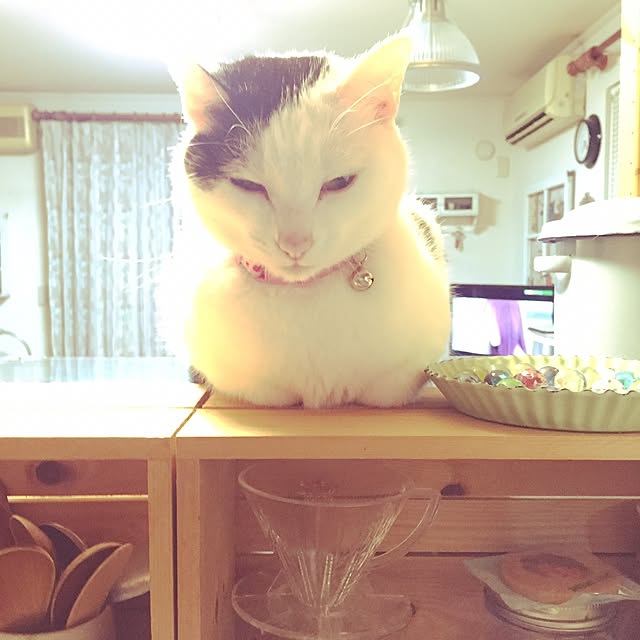 chiさんの実例写真