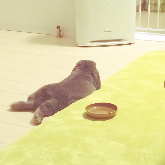 calminさんの実例写真