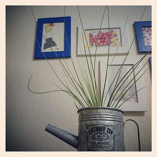 Thekazucoさんの実例写真